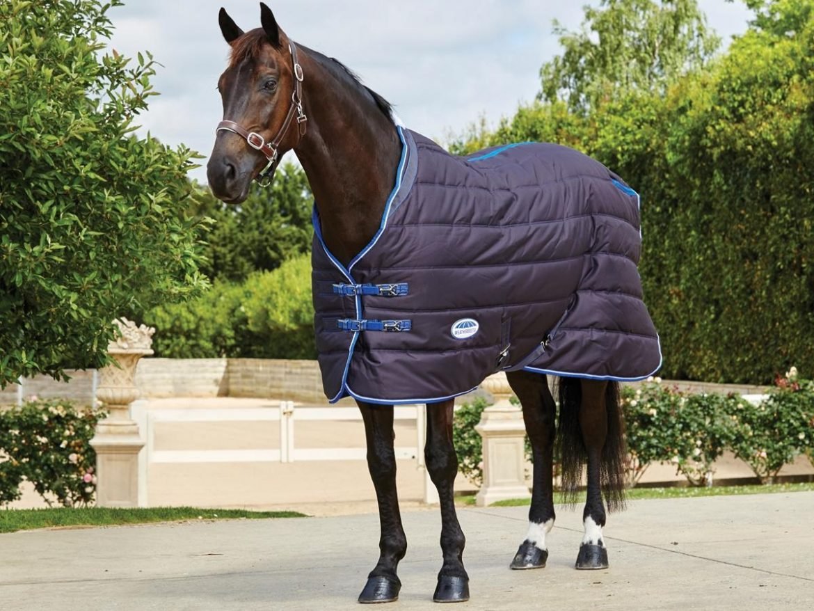 Indications Of A Tailored Horse Rug